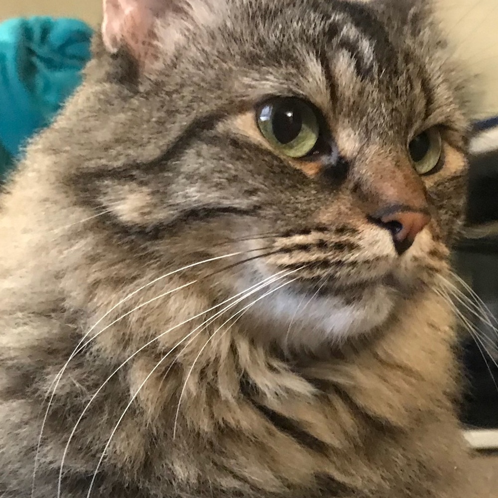 Meet your Posher, Taylor